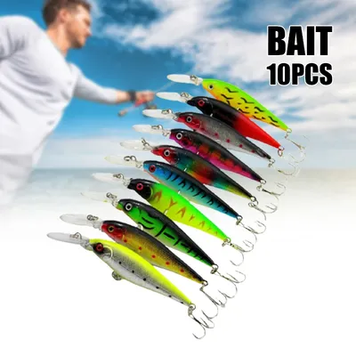 Fish+Supplies