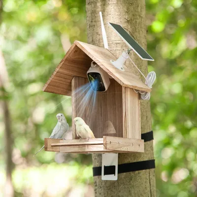 Smart Bird Feeder with Solar Powered Camera, Bird-Watching Camera Outdoor Feeder with 200W 1080P