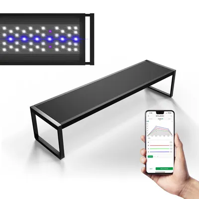 Brite Series Auto Aquarium LED Light with App-Controlled RGB+W LEDs, Custom Sunrise/Sunset Colors in