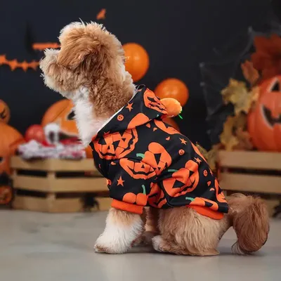 Pet+Costumes