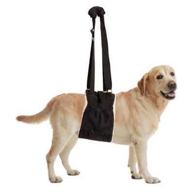 Buddy Lift Canine Support & Rehabilitation Sling for Dogs, Medium