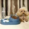 Neue 2-in-1 Katzen schale Wassersp ender automatische Wassersp eicher Haustier Hund Katze Futter Schüssel Futter behälter mit Tränke Haustier Tränke Feeder