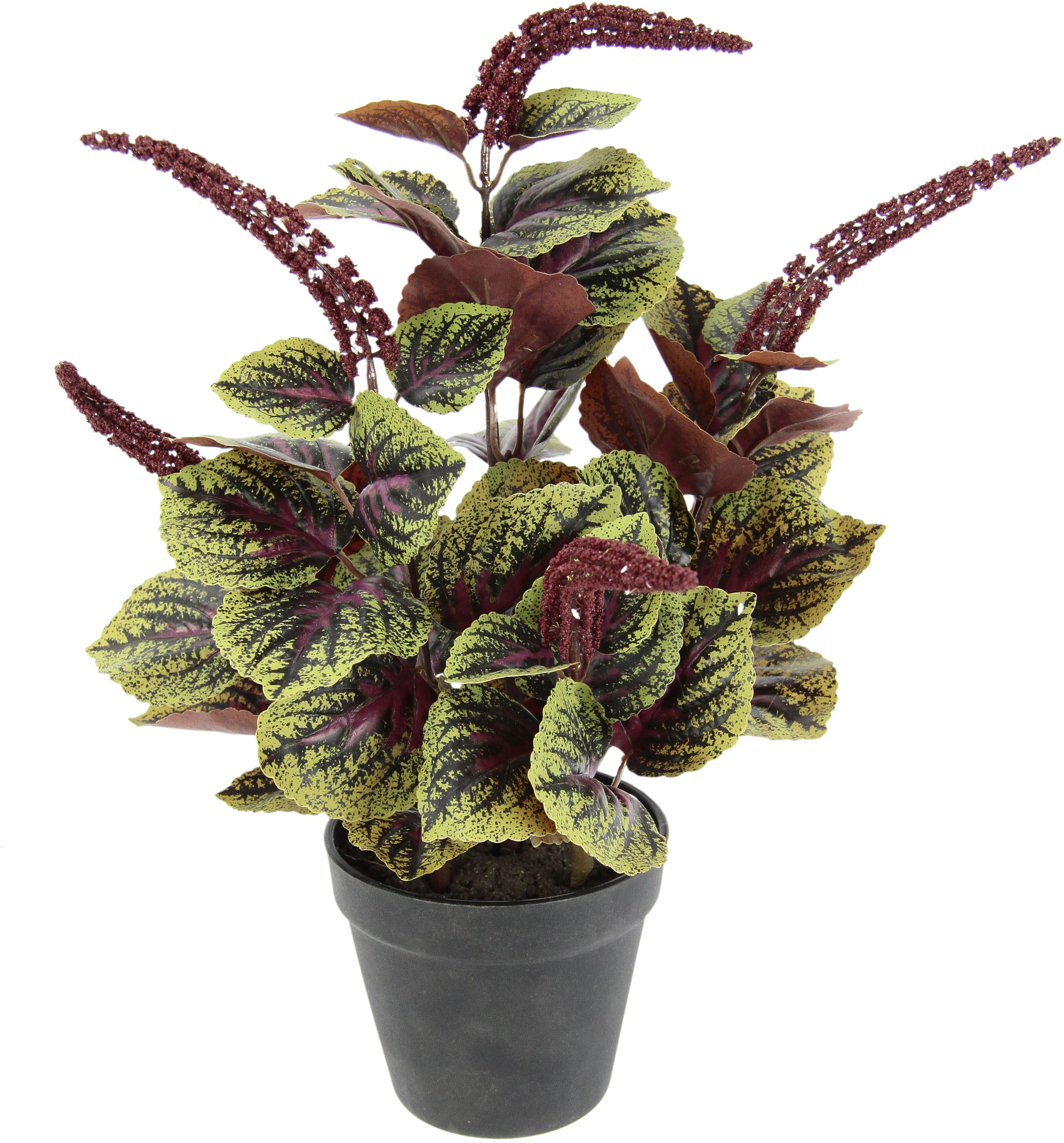 Kunstpflanze I.GE.A. "Zwergpfeffer", grün (grün, rot), B:30cm H:38cm, Obermaterial: 90% Polyester, 10% Kunststoff, Kunstpflanzen, Kunstpflanze, Im Topf Image