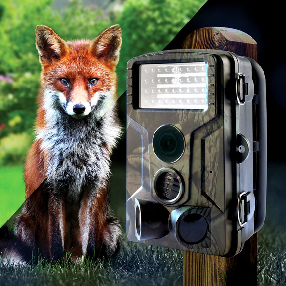 Wildlife-Kamera mit Nachtsicht Gainsborough Image