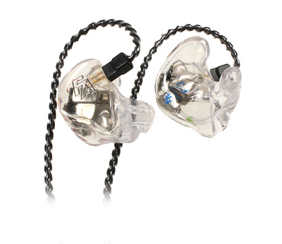 Fischer Amps FA 666 Custom