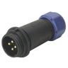 Weipu - SP2111 / p 2 i Rundstecker Stecker, gerade Gesamtpolzahl: 2 Serie (Rundsteckverbinder): SP21