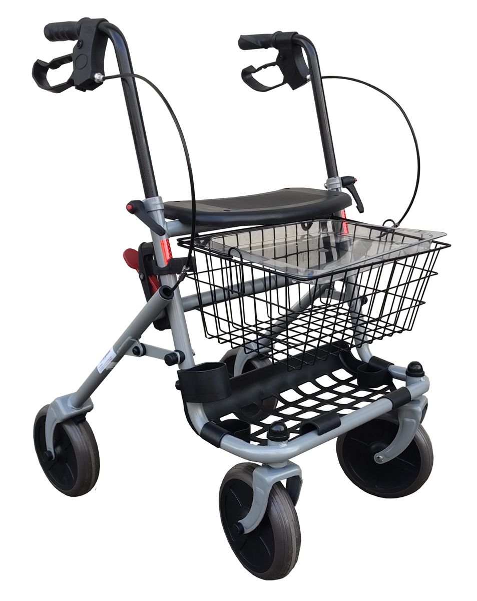 Ausilium Deambulatore Rollator a Quattro Ruote Pieghevole 1 St