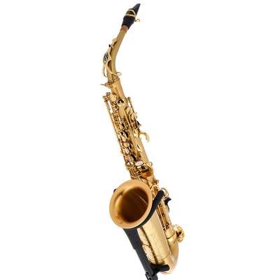 Selmer SE-A2M Matt SA80 II Alto