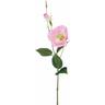 Set 12 Rami Artificiali Lisianthus 2 Fiori h 60 cm