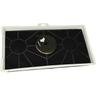 Filtro a carboni attivi compatibile con Gaggenau AH198170/06, AH198170/05, AH198170/04,