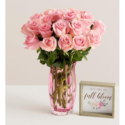 1-800-Flowers Flower Delivery Pink Petal Roses 24 Stems W/ Pink Vase & Sign