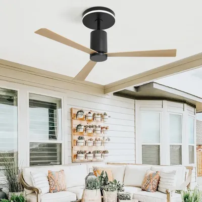 Ceiling+Fans