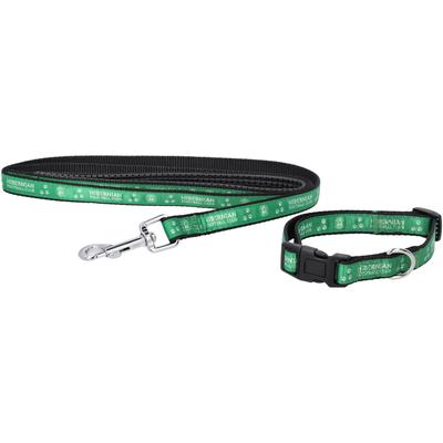 Halsband und Leine für Hibernian-Hunde – klein Image