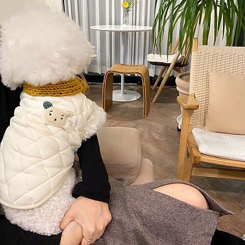 Hund Katze Mäntel Jacke Weihnachtsgeschenke für haustiere Alltagstauglich Lässig Herbst Winter Warm Atmungsaktiv Weich Bequem Sicherheit Sport im Freien Innen Hundebekleidung Image