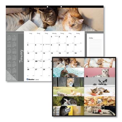 Brownline C194115 Pets Collection Monthly Desk Pad, Furry Kittens Photography, 22 x 17, White Sheets, Black Binding, 12-Month (Jan-Dec): 2024