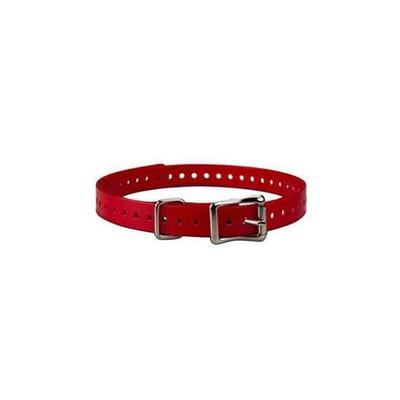 Garmin Nylon Collar - Green