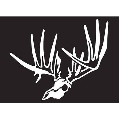 Hunters Image Deer Skull - X Large - X Large