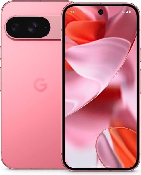 Google Pixel 9 5G 12GB RAM 256GB Peony DE Image