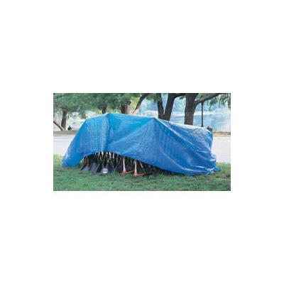 Tarps, Inc. Multiple Use Tarp, 20 ft W x 30 ft L, Polyethylene, Blue (101-2030)