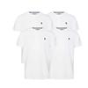 U.S. Polo Assn. 4 PACK RUNDHALS - T-Shirt basic in Weiß
