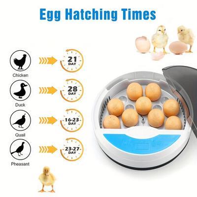 TEMU 9pcs Egg Incubator, Led Egg , Egg , Egg Incubator 360Â° Clear ,, For , ,