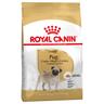 7.5kg Pug Adult Royal Canin Dry Dog Food