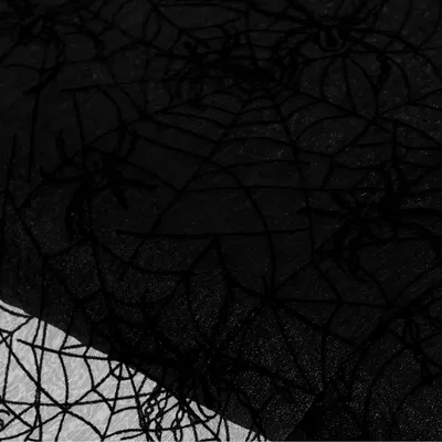 Organza Spinnennetz, schwarz Image