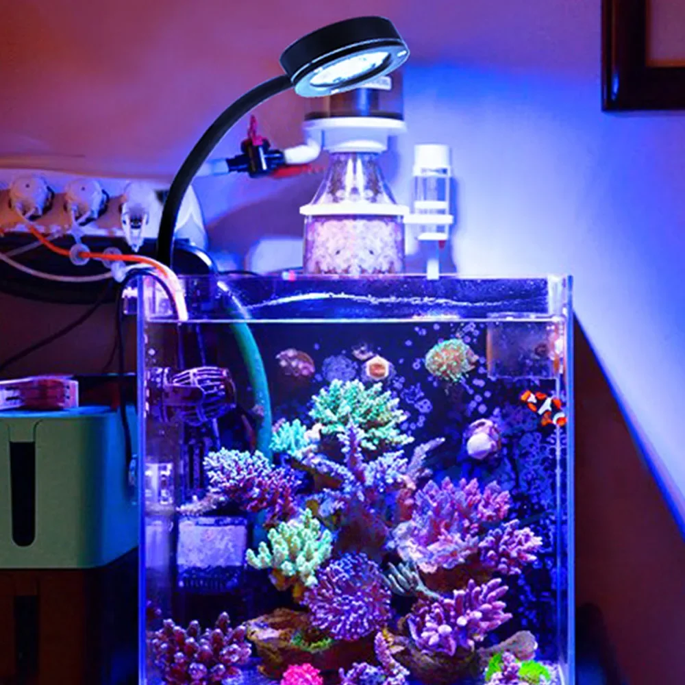 Aquarium LED-Licht Marine Coral SPS LPS Aquarium Meerriff Tank Blau Weiß Anfänger 90 V-240 V Für 30–50 cm Meerwassertank Image