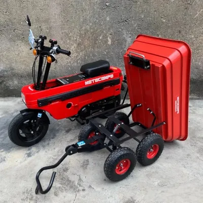 Kleine Bank, Mini Offroad Mountain Street Bike, kleines Monster, Tyranno saurus Rex, Pavian, Image