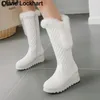 Winter warmes Fell kniehohe Stiefel Damen Plattform Schneeschuhe High Heels weibliche gepolsterte Schuhe hohe Stiefel freies Schiff große Größe 41