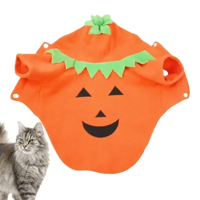 Pet+Costumes