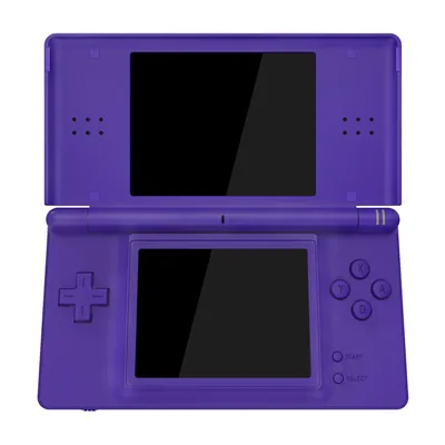 Nintendo+DS+Accessories