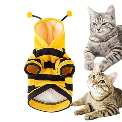 Pet+Costumes