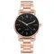 Ladies High-End Quartz Watch Stainless Steel Luminous Dial Leisure Watch Quartz Watch Watch For