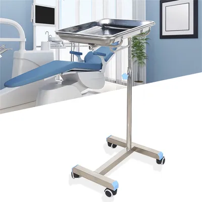 Stainless Steel Salon Instrument Tray, Height Adjustable Trolley Cart Tray on Wheels for Spa Beauty
