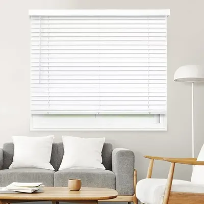 Window+Blinds