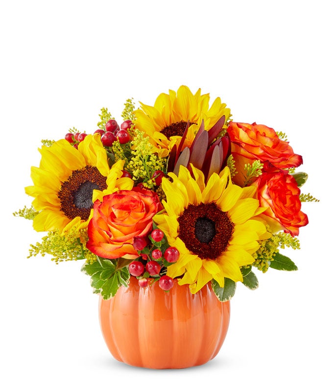 Flowers - Sunny Fall Pumpkin