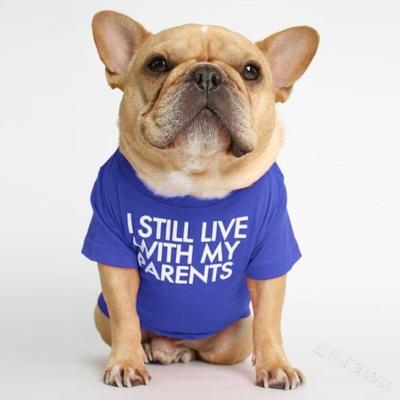 Aougo - Hunde-T-Shirt mit der Aufschrift: i Still Live with My Parents (Blau, xl)