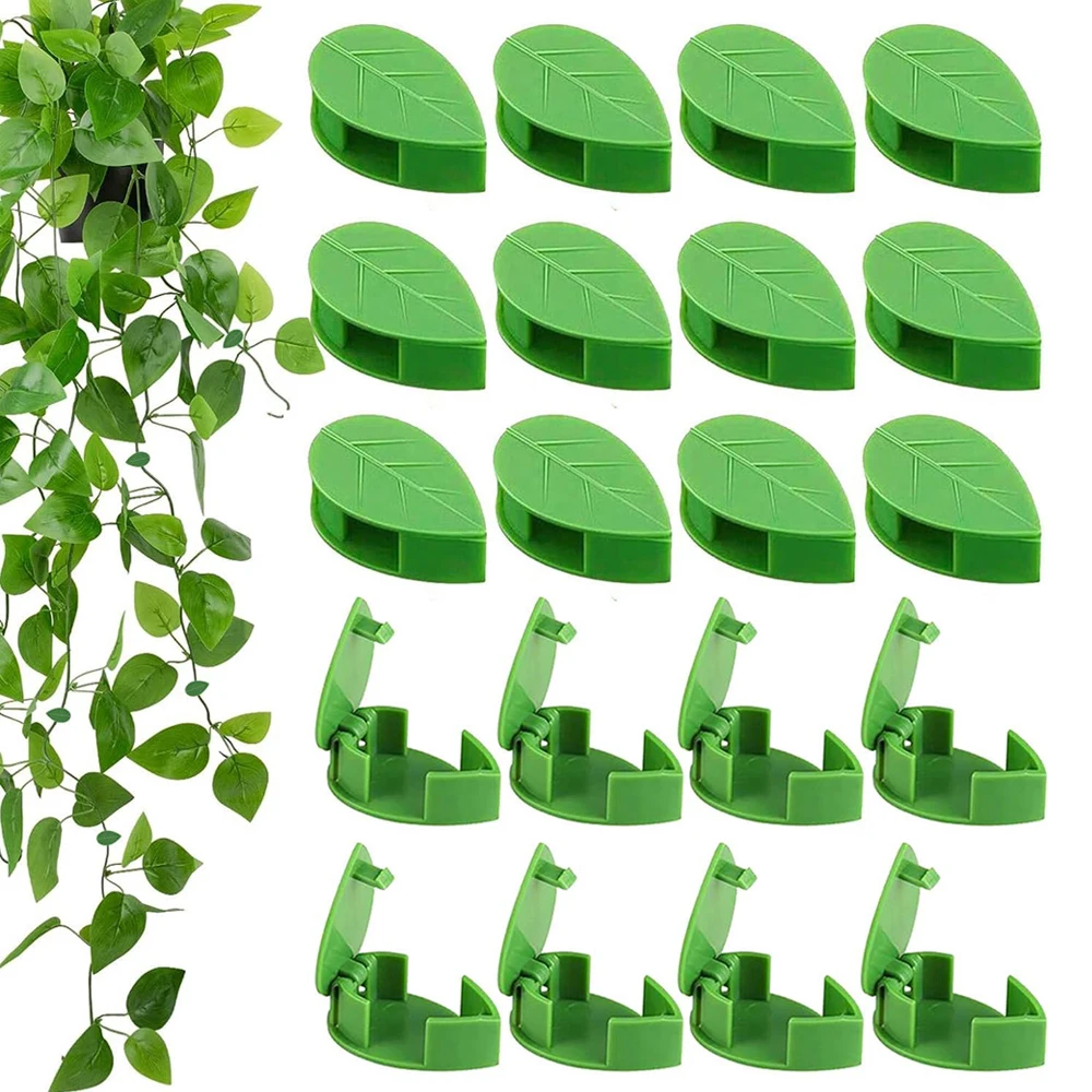 Neue unsichtbare Pflanze Kletterwand befestigung Clips 10-50 Stück pcsrattan Rebe Halterung feste Schnalle Blatt Clips Traktion halter Garten Image
