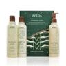 Aveda - Rosemary Mint Invigorating Essentials Cofanetti e kit 1 pieces unisex