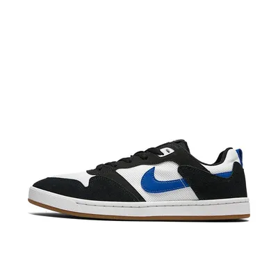 NIKE 2024 Neutral NIKE SB ALLEYOOP Extreme Outdoor Shoes CJ0882-104