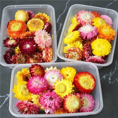 Natural Dried Flowers Daisy Chrysanthemum Heads Boho Home Decor DIY Straw Sunflower Wedding