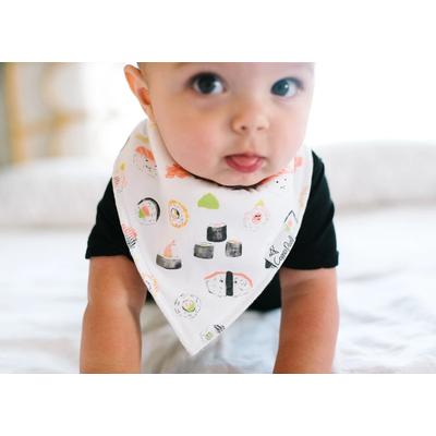 Copper Pearl Baby Bandana Bibs, 4 Pack - Baja