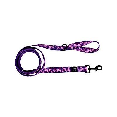 Hamilton A Day Together Ribbon Overlay Nylon Standard Dog Leash, Purple Triangle, Medium/Large: 6-ft long, 1-in wide