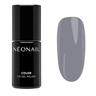 NEONAIL - UV Gel Nail Polish Smalti 7.2 ml Grigio unisex