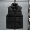 Herren Puffer Weste Gepolstert Weste Steppweste Täglich Verabredung Urlaub Modisch Brautkleider schlicht Herbst Winter Tasche Polyester warm halten Komfortabel Farbblock Reisverschluss Ständer