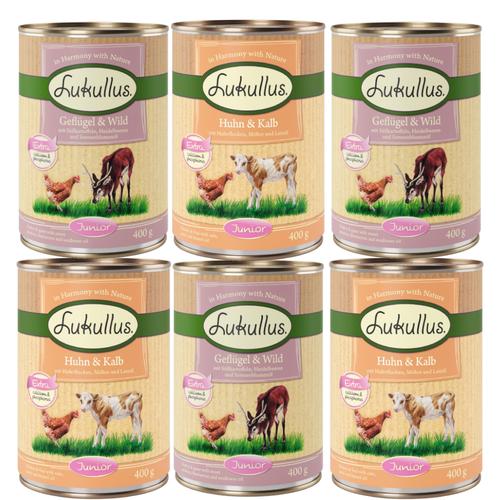 Lukullus Mixpakete zum Sonderpreis! - Mix 2: Junior Naturkost (2 Sorten) 6 x 400 g