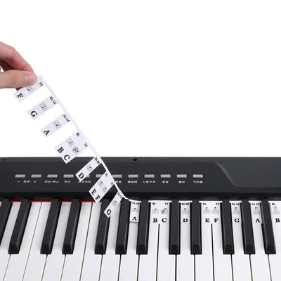 Beginner Music Notes Sticker