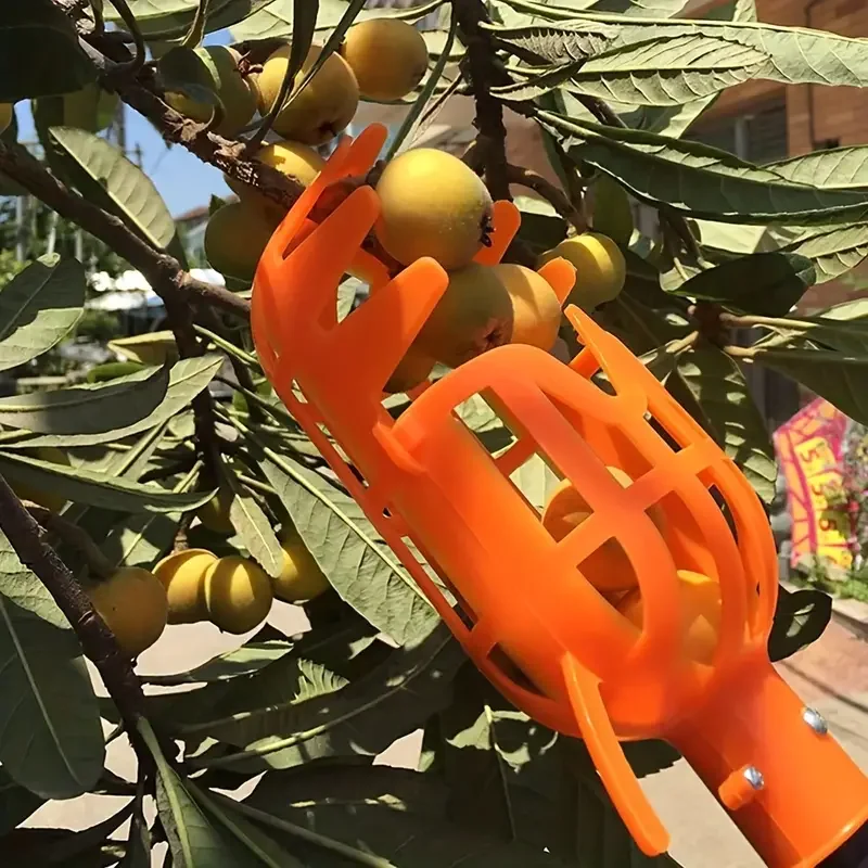 1pc High-Altitude Obst Picker Loquat Bayberry Kunststoff Garten Obst Picking Werkzeug Harvester Catcher Für Hand Pfirsich, pflaume, Jujube, Image