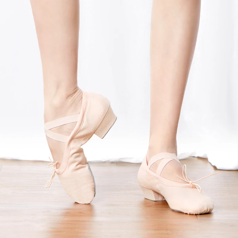 Professionelle Ballett-Tanzschuhe für Damen und Mädchen, Tanzschuhe mit niedrigem Absatz, Segeltuch-Lehrerschuhe für Tanzunterricht Image